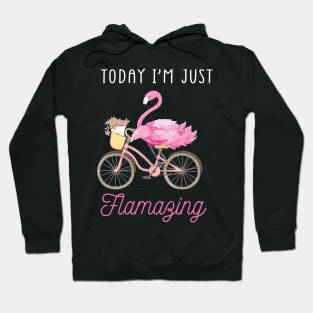 Today I Am Flamazing Amazing Flamingo Bicycle T-Shirt Hoodie